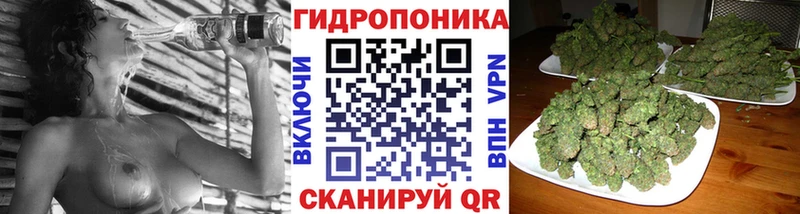 Все наркотики Шебекино Псилоцибиновые грибы  Меф мяу мяу  Alpha PVP  Конопля  Гашиш  Метадон  КОКАИН 