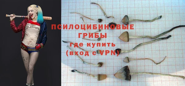 гидра Рославль
