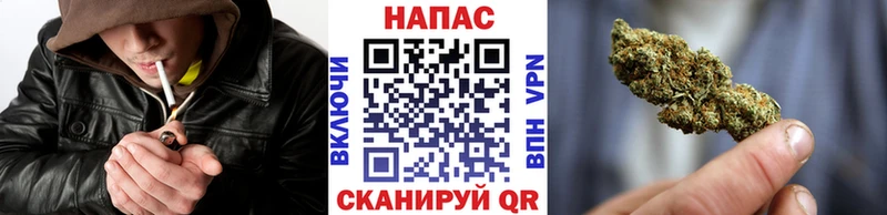 Шишки марихуана тримм  Шебекино 